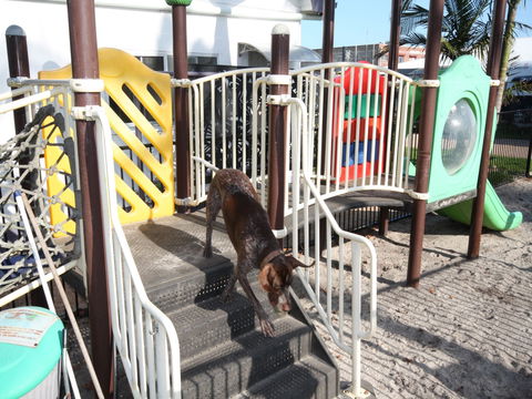 Prime Pet Friendly Tourist Park - Timeshare Accommodation 4