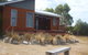 Yakkalla Holiday Cottage - thumb 0