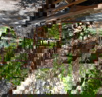 Melaleuca Surfside Backpackers - Timeshare Accommodation