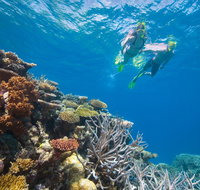 NRMA Cairns Holiday Park - Timeshare Accommodation