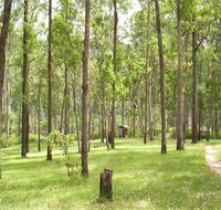 Nymboida River campground - Timeshare Accommodation