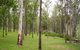 Nymboida River Campground - thumb 1