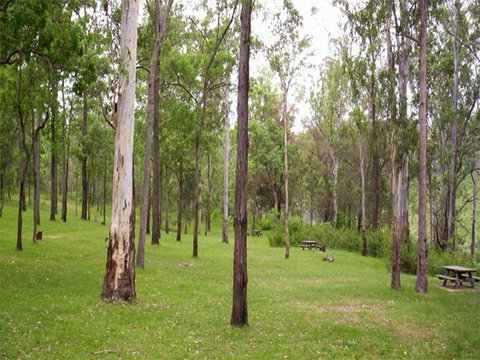 Nymboida River Campground - Timeshare Accommodation 1