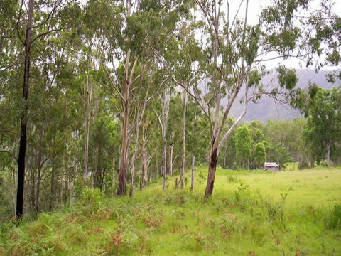 Nymboida River Campground - Timeshare Accommodation 2