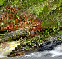 The Mouses House - Rainforest Retreat - Timeshare Accommodation