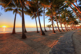 Book Palm Grove Accommodation Vacations Timeshare Accommodation Timeshare Accommodation