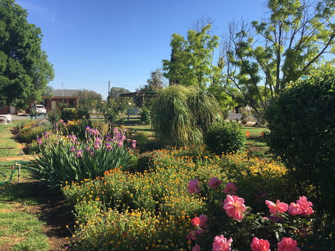 Quirindi Sunflower Motor Inn - Timeshare Accommodation 2