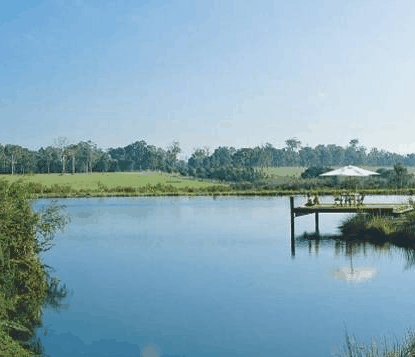 Forest Rise Eco Retreat - Timeshare Accommodation