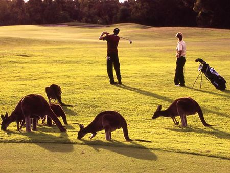 Novotel Swan Valley Vines Resort - Timeshare Accommodation 1