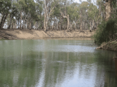 Balranald Club Motel - Timeshare Accommodation 1