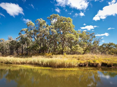 Kings Plains Creek Campground - Timeshare Accommodation 2
