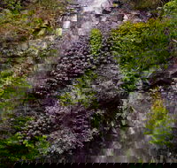 Nimbin Waterfall Retreat - Timeshare Accommodation