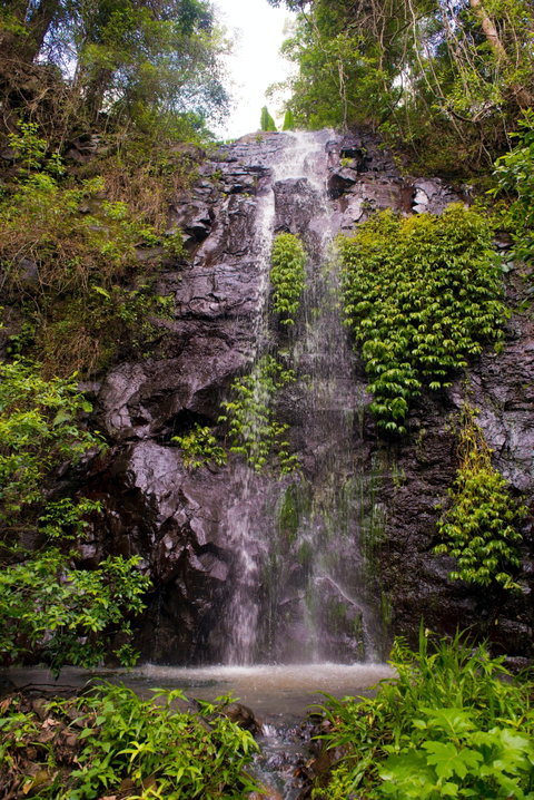 Nimbin Waterfall Retreat - Timeshare Accommodation 0