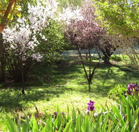Sofala Cottage - Timeshare Accommodation
