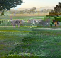 Wallinga Studio Farmstay - Timeshare Accommodation