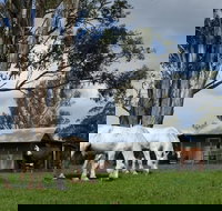 Woodenbong B and B - Timeshare Accommodation