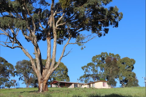 Clare View Accommodation - Clare View Cottage - Timeshare Accommodation 2