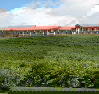 Turners Vineyard Motel