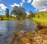 Elm Cottage Tumut - Timeshare Accommodation
