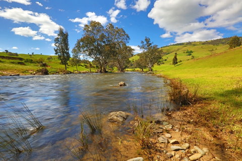 Elm Cottage Tumut - Timeshare Accommodation 0