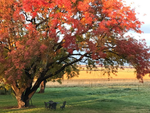 Little Kickabell Country Homestead - Timeshare Accommodation 0