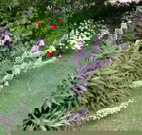 Padthaway Caravan Park - Timeshare Accommodation