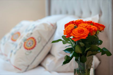 The Nest At Gundaroo - Timeshare Accommodation 1