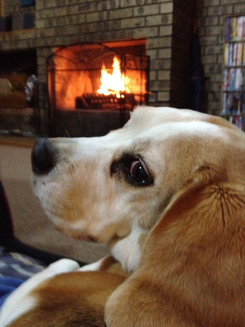 The Retreat On Matthew - Timeshare Accommodation 1