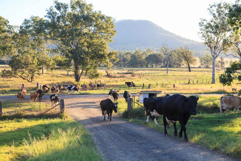 Tommerups Dairy Farmstay - Timeshare Accommodation 0