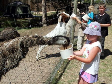 Bairnsdale Holiday Park - Timeshare Accommodation 2