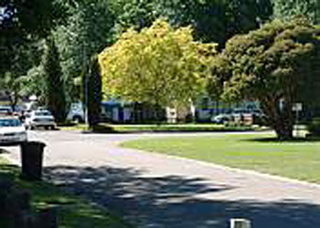Mitchell Gardens Holiday Park - Timeshare Accommodation 0