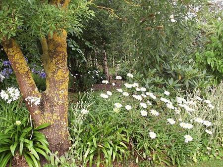 Buln Buln East VIC Timeshare Accommodation