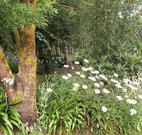 Springbank Bed and Breakfast