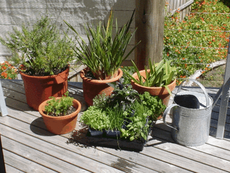 Stephanies At Onion Bay - Timeshare Accommodation 4