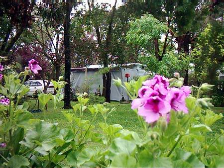 Beach Park Tourist Caravan Park - Timeshare Accommodation 2