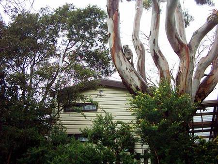 Beach Park Tourist Caravan Park - Timeshare Accommodation 3