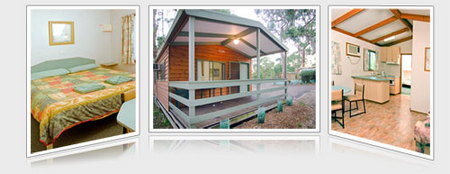 A Maze N Things Holiday Park - Timeshare Accommodation 5