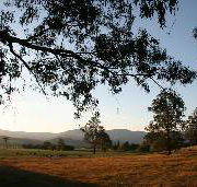 Cann River Rainforest Caravan Park