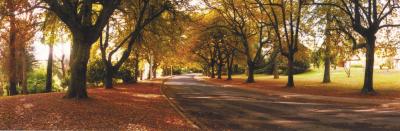 La Trobe At Beechworth - Timeshare Accommodation 0
