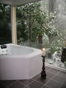 Arnica Views Luxury Retreat - Timeshare Accommodation 3