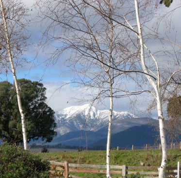 Buttercup Cottage & Apartment - Timeshare Accommodation 1