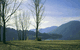 Ashton Townhouse Motel & Suites Tumut - thumb 3