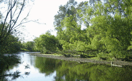 Ribbonwood Cottages - Timeshare Accommodation 0