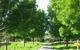 Ribbonwood Cottages - thumb 2