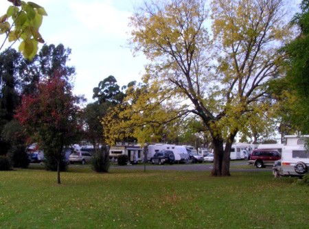 Poplar Tourist Park - Timeshare Accommodation 2