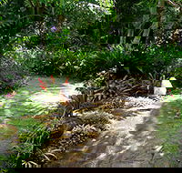 Coco's Country Cottage