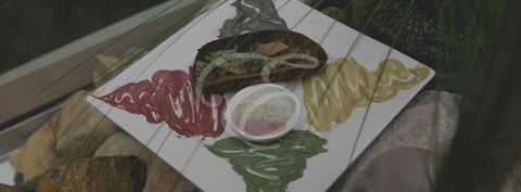 Peppers Spa - Palm Cove - Timeshare Accommodation 5