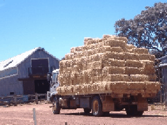 Avondale Discovery Farm - Timeshare Accommodation 1