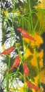 Jahroc Mill Gallery - Timeshare Accommodation 3