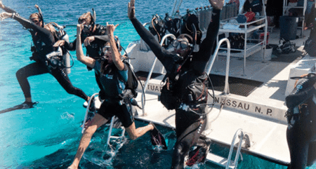 Snorkel Safari Brisbane - Timeshare Accommodation